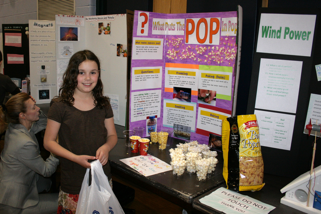 100 Awesome Science Fair Project Ideas WorkPlacePro Blog